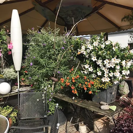 Schwarzwalder Hof 3* أخرن