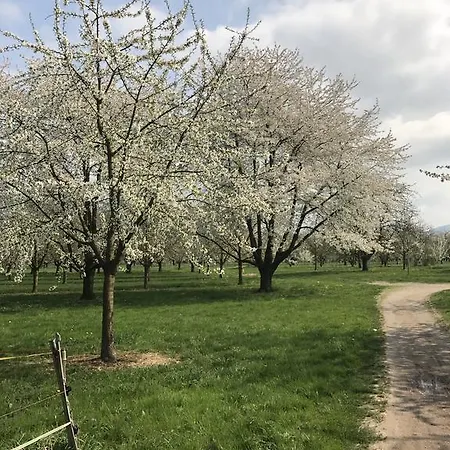 Schwarzwalder Hof فندق 3*