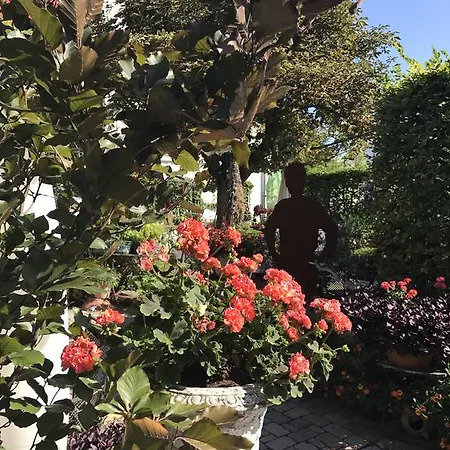 فندق Schwarzwalder Hof أخرن