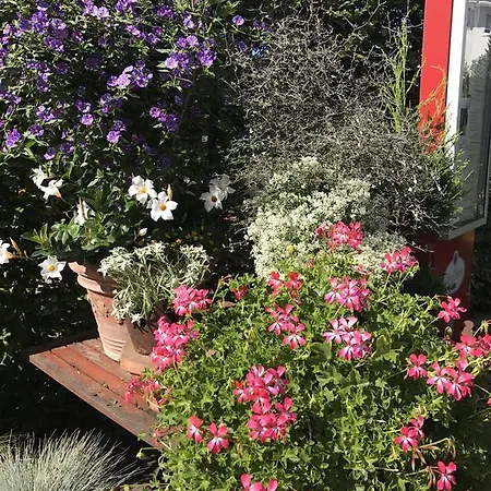 Schwarzwalder Hof 3*