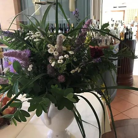 Schwarzwalder Hof فندق أخرن