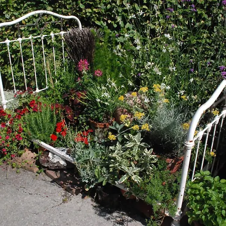 فندق Schwarzwalder Hof أخرن