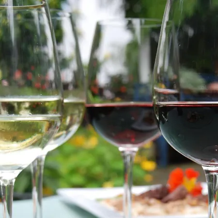 Schwarzwalder Hof فندق 3*