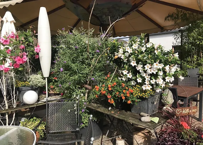 Schwarzwalder Hof 3* Ахерн