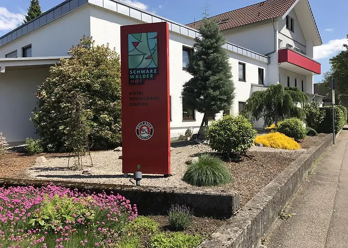 Schwarzwalder Hof Ахерн