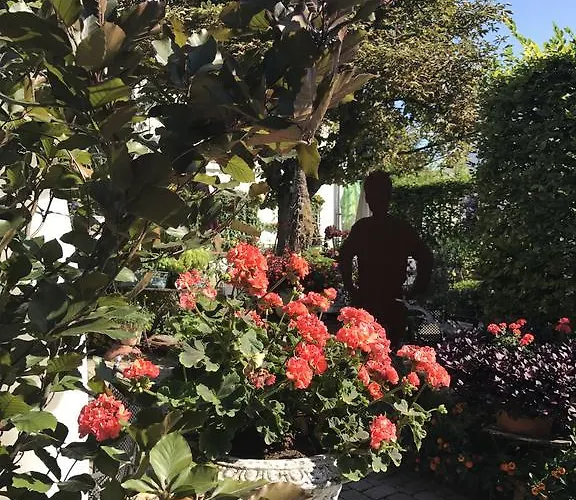 Отель Schwarzwalder Hof Ахерн