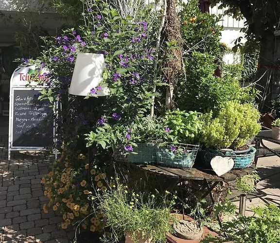 Отель Schwarzwalder Hof 3*