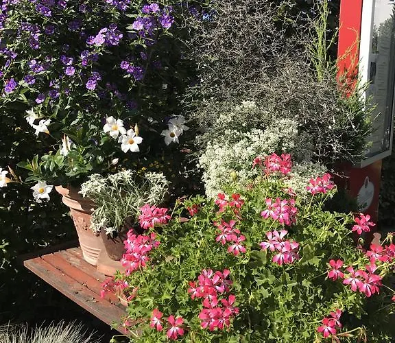 Schwarzwalder Hof 3*