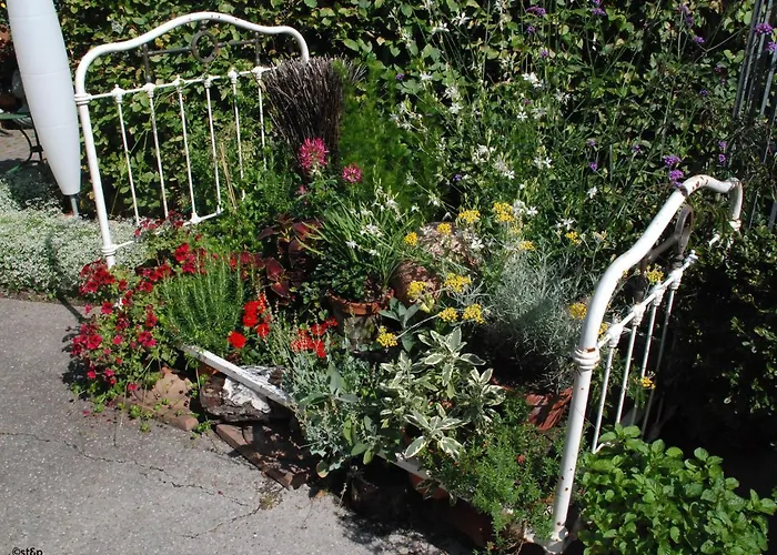 Отель Schwarzwalder Hof Ахерн